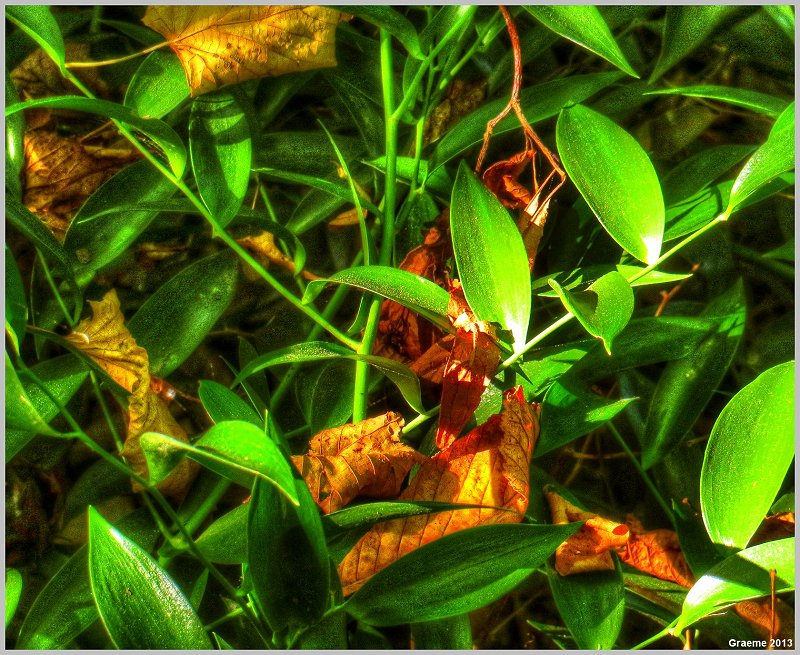 o9/31/938931/1/153112586.JibJGZ1o.153112586.l3Rd3BSb.1IMG_0925And2more_tonemapped.jpg