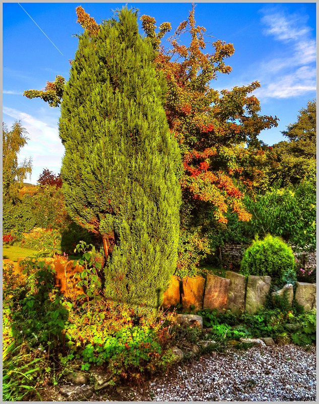 o9/31/938931/1/153148003.GhSSqzOy.153148003.SrXZKEHh.1IMG_8909And2more_tonemapped.jpg