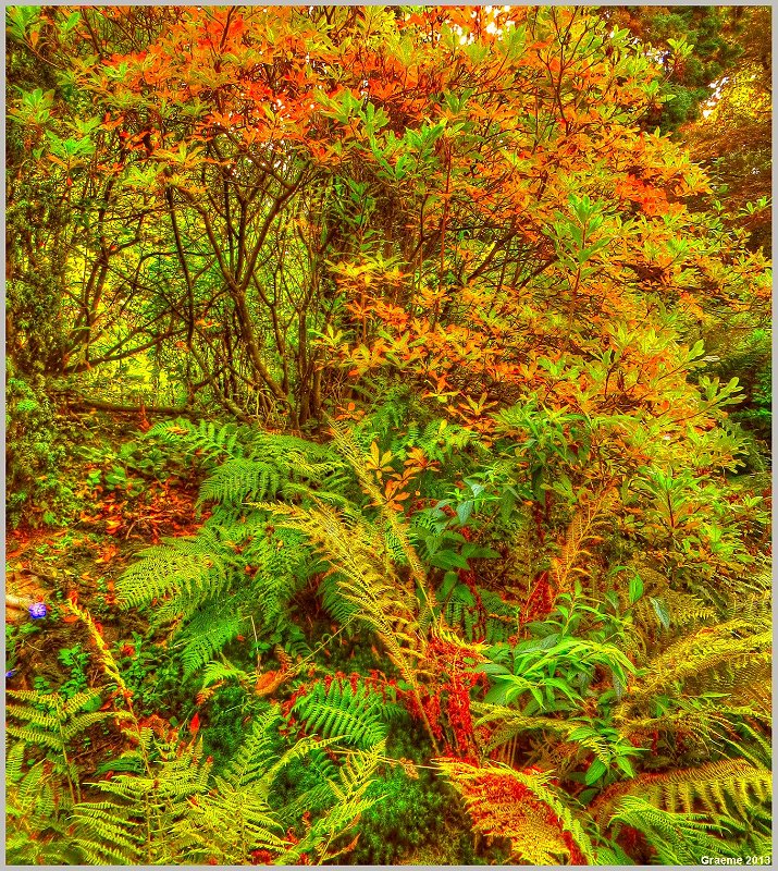 o9/31/938931/1/153151811.uUl3NFnM.153151811.SYYTp4NY.1IMG_9483And2more_tonemapped.jpg