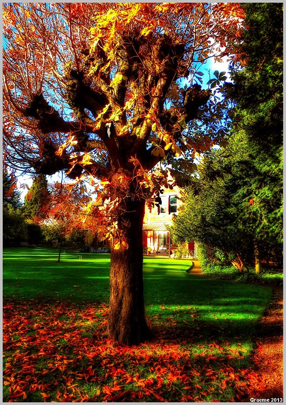 o9/31/938931/1/153316284.YyKDWYh0.153316284.zRRIBaUB.1IMG_1173And2more_tonemapped.jpg