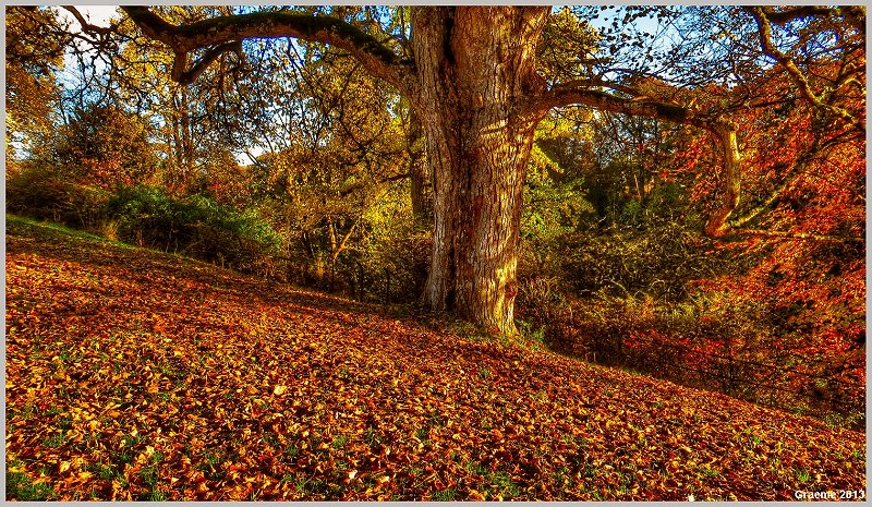 o9/31/938931/1/153351817.bzfNGW5X.153351817.TIqrcno6.IMG_1775_tonemapped.jpg