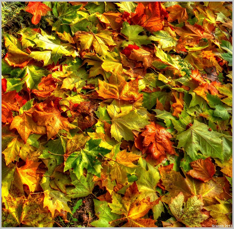 o9/31/938931/1/153473957.Zja1q5ST.153473957.tTzwTI9K.1IMG_2077And2more_tonemapped.jpg