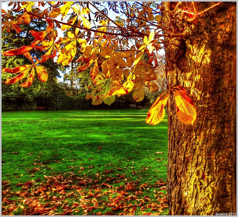 o9/31/938931/1/153517494.40j8Clqd.153517494.5FJvbZtX.1IMG_1175And2more_tonemapped.jpg