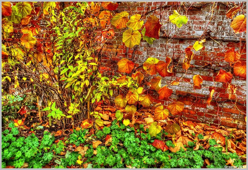 o9/31/938931/1/153540191.XCBzJlUl.153540191.gEW36sko.1IMG_1874And2more_tonemapped.jpg