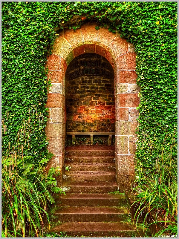 The Dahlia Walk