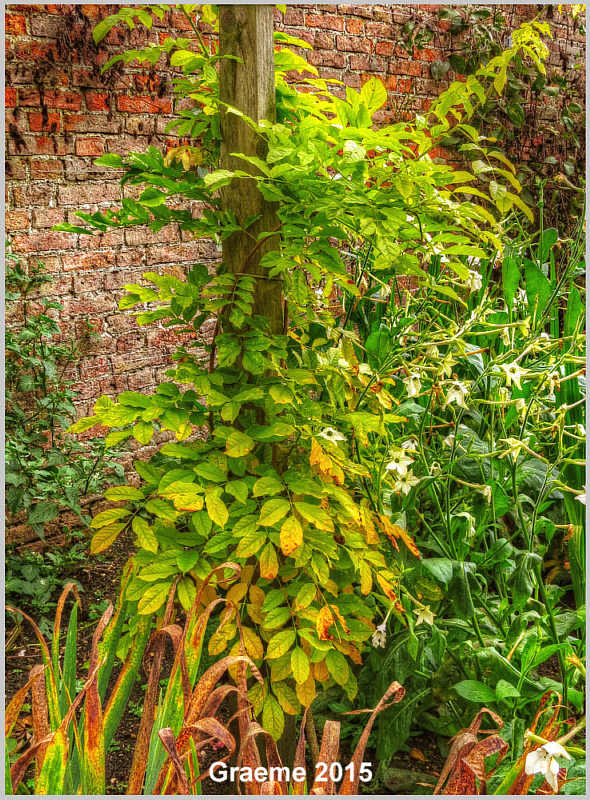 o9/31/938931/1/161543905.MlTDufb8.1IMG_0167And2more_tonemapped.jpg