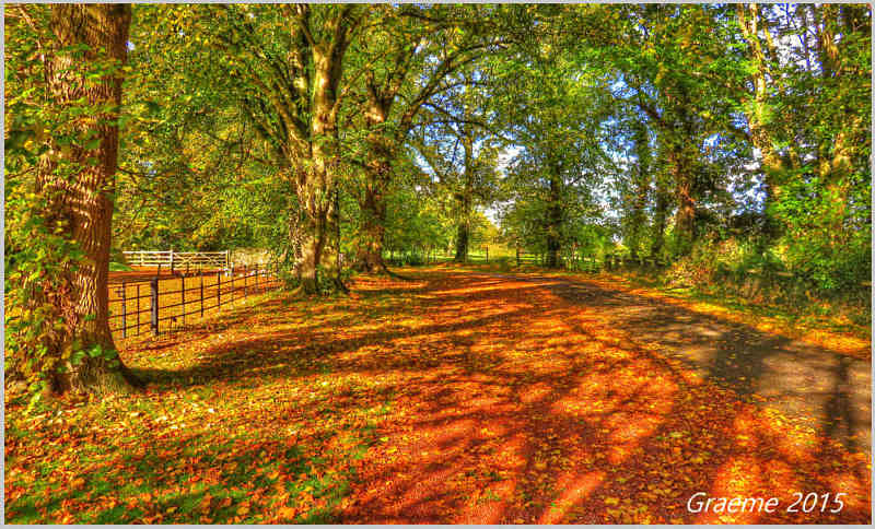 o9/31/938931/1/161640676.kMEJacxn.1IMG_0786And2more_tonemapped.jpgsx700.jpg