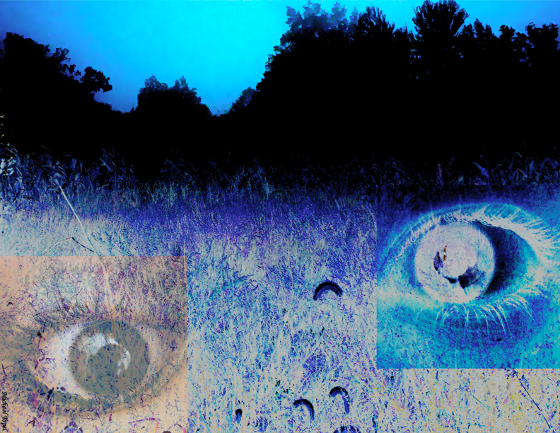 If Eyes Could Talk