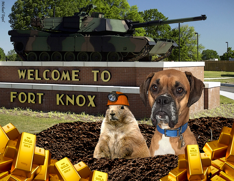 Welcome To Fort Knox