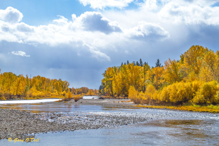 Autumn On The Bitterroot