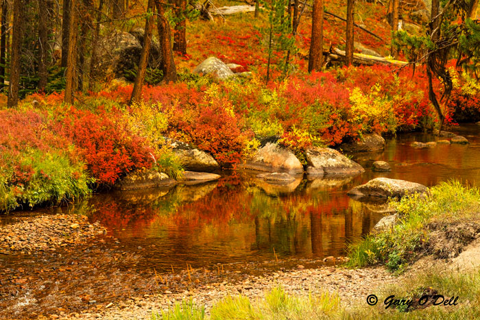 Autumn Reflections