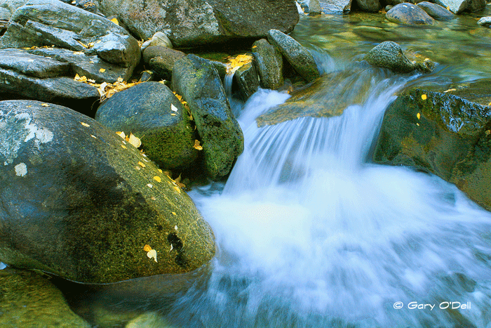Milked-Water-#3.gif