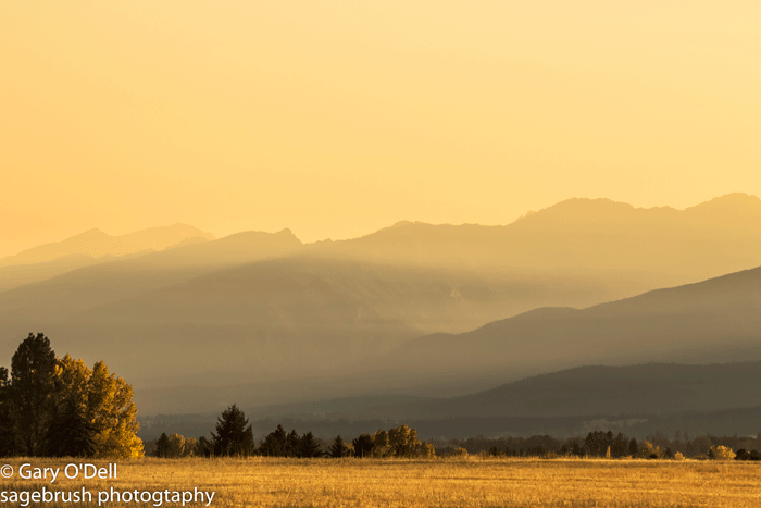 Mountain Haze