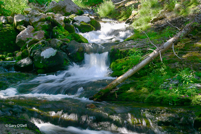 Rapids-above-Chasm-Falls.gif