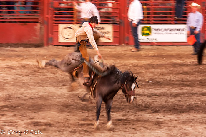 Saddle Bucking