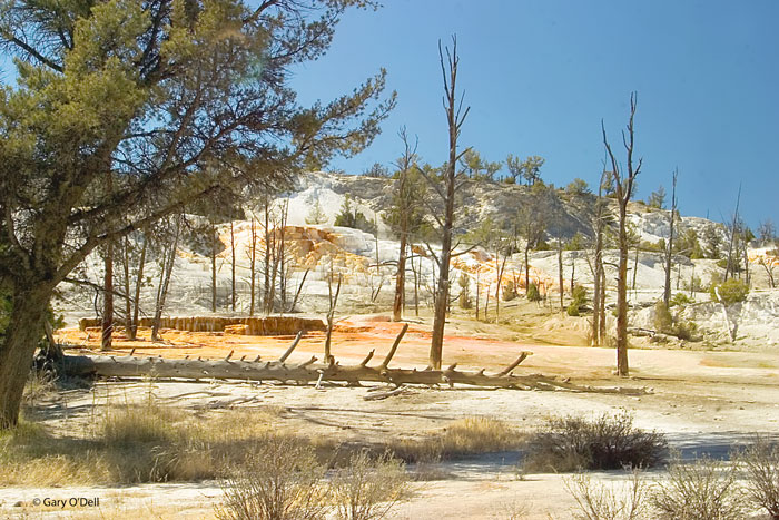 Minerial-Springs.jpg