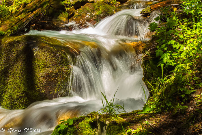 Milked-Water-ISO-100,-55mm,-f--22-@-1-10-sec.jpg