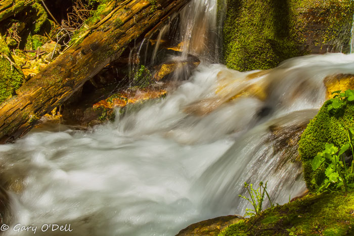 Milky-Water-ISO-100,-55mm,-f--22-@-1-13-sec.jpg