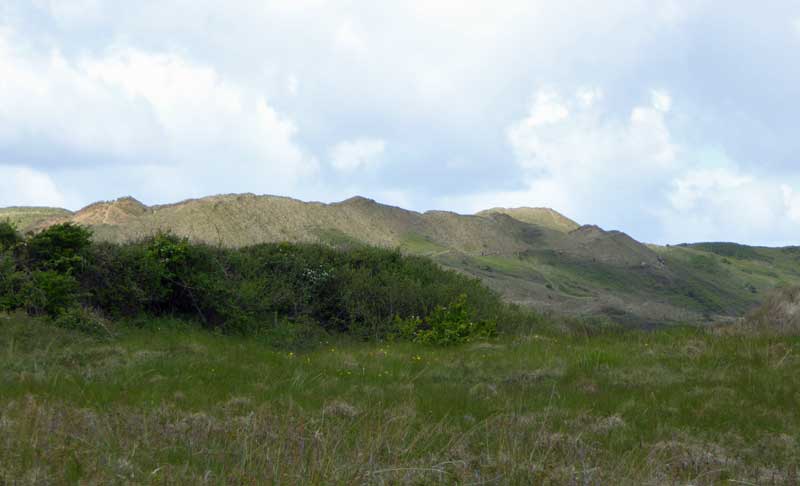 looking back to llanmadoc hill