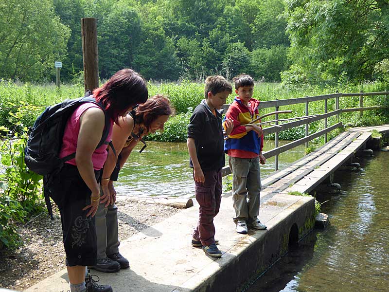 local lads point out river inhabitants