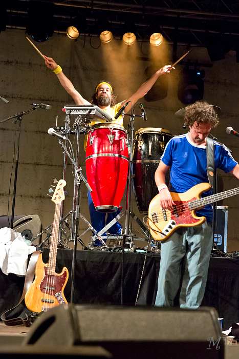Not The Talking Heads