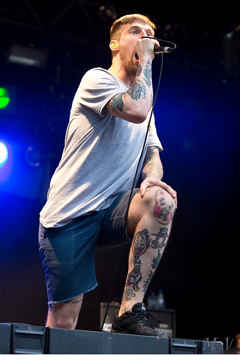 Evergreen Terrace