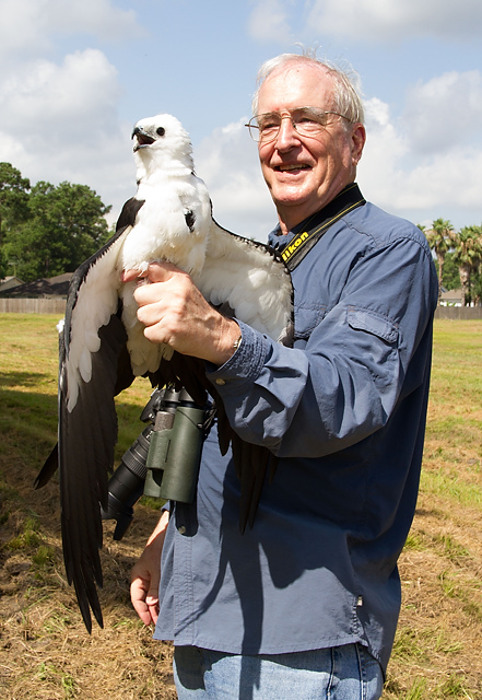 swallow-tailed kite IMG8374_JK.JPG