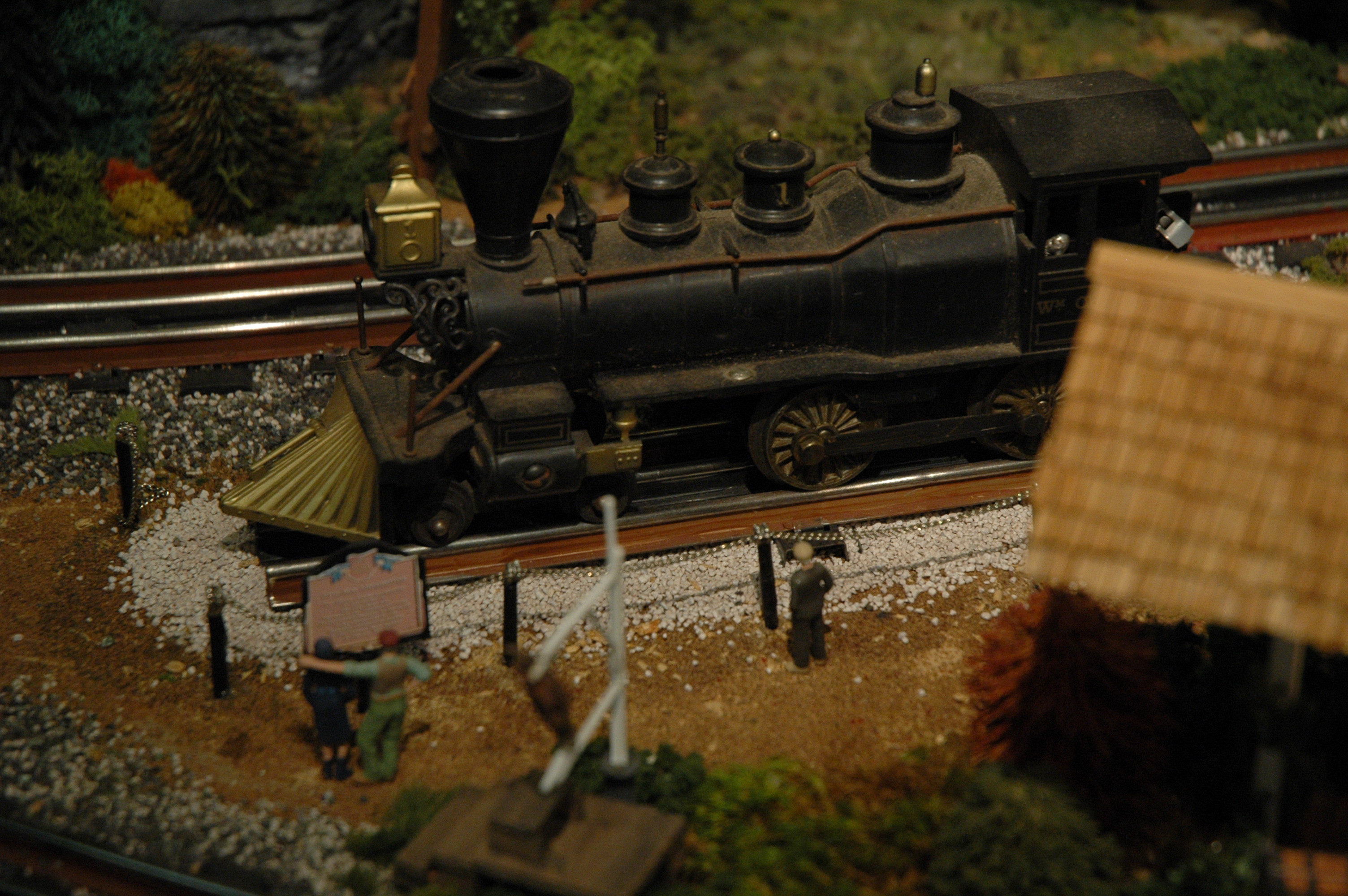 Racoon Scenic Railroad by Cookie Hanna