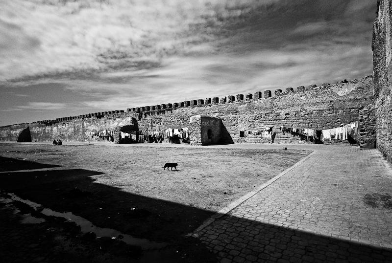 71-Morocco2©ALBERT_ENGELN.jpg