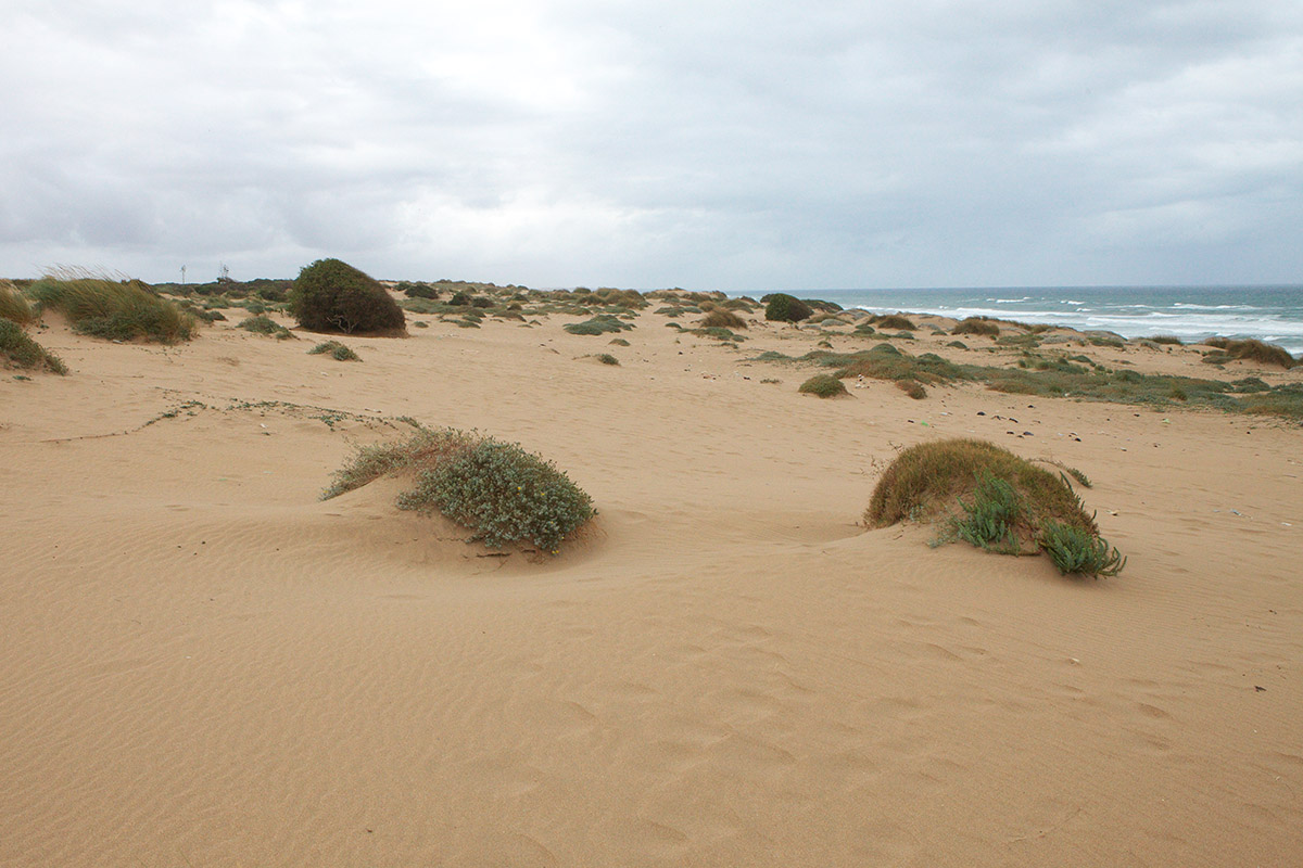 strand Kenitra-IMG_9805.jpg