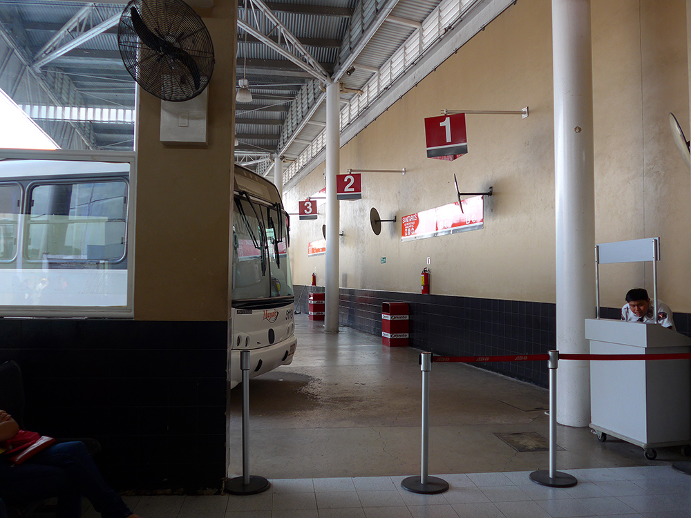 P1000680.JPG