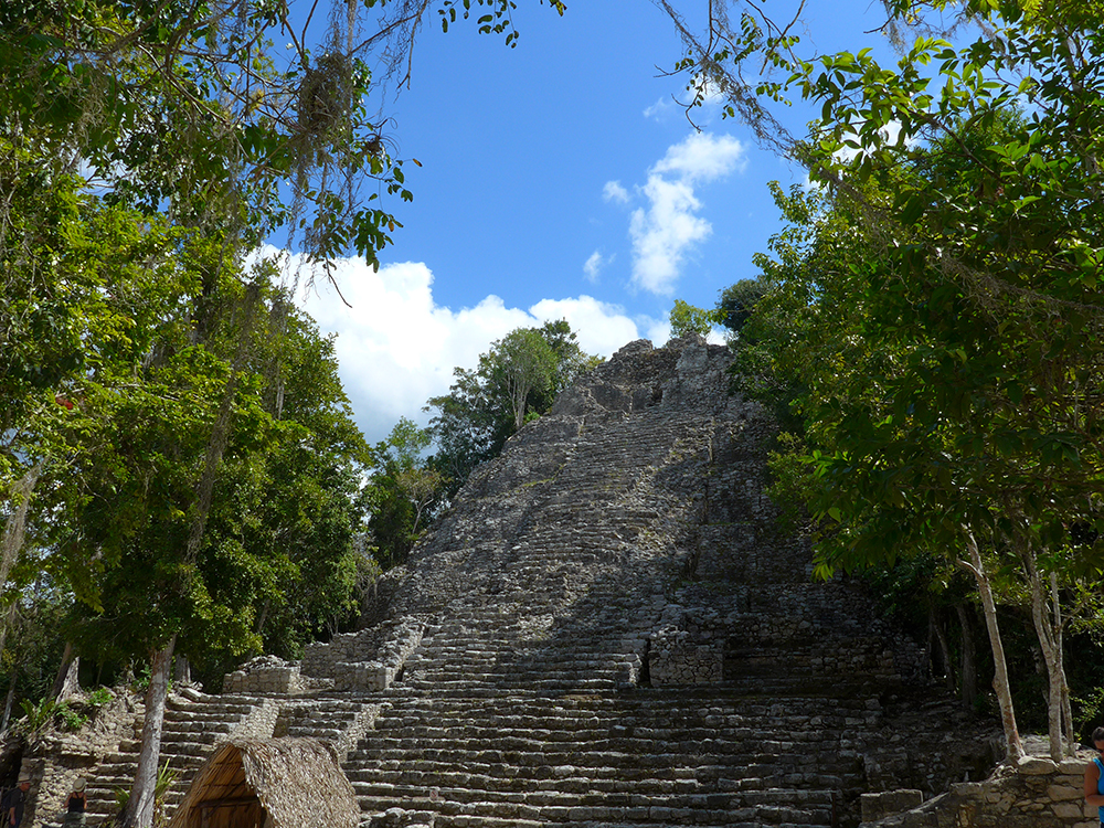 P1000589.JPG