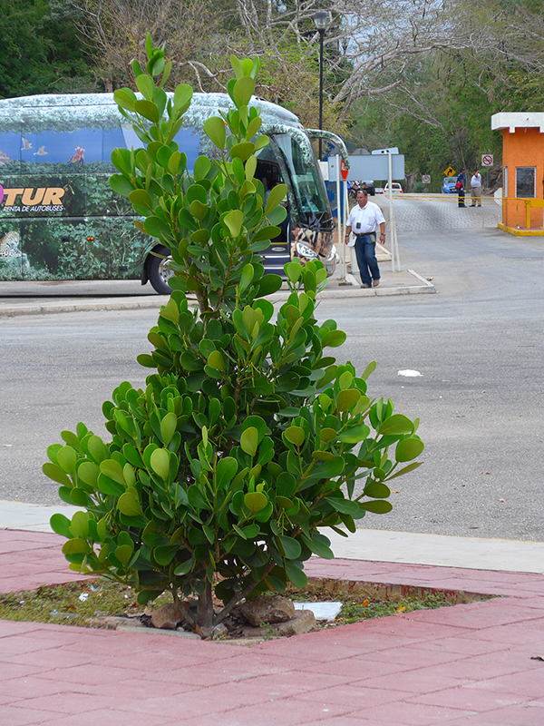 P1000855.JPG