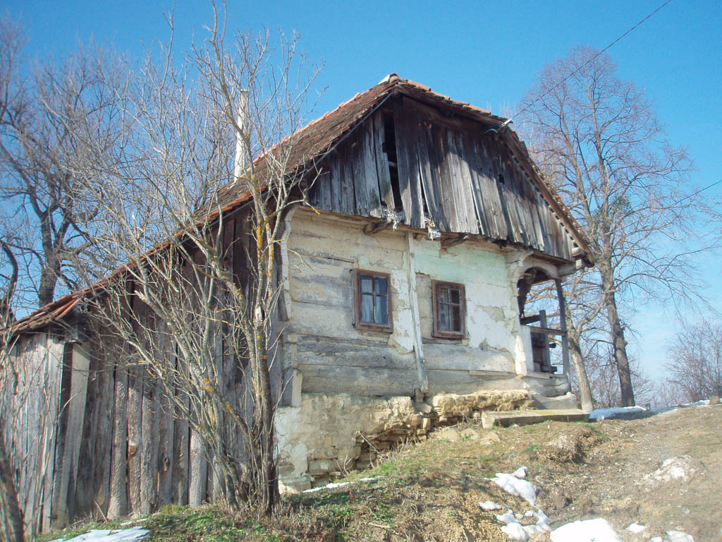 P2150630.JPG
