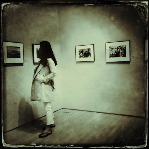 Viewing the exhibit