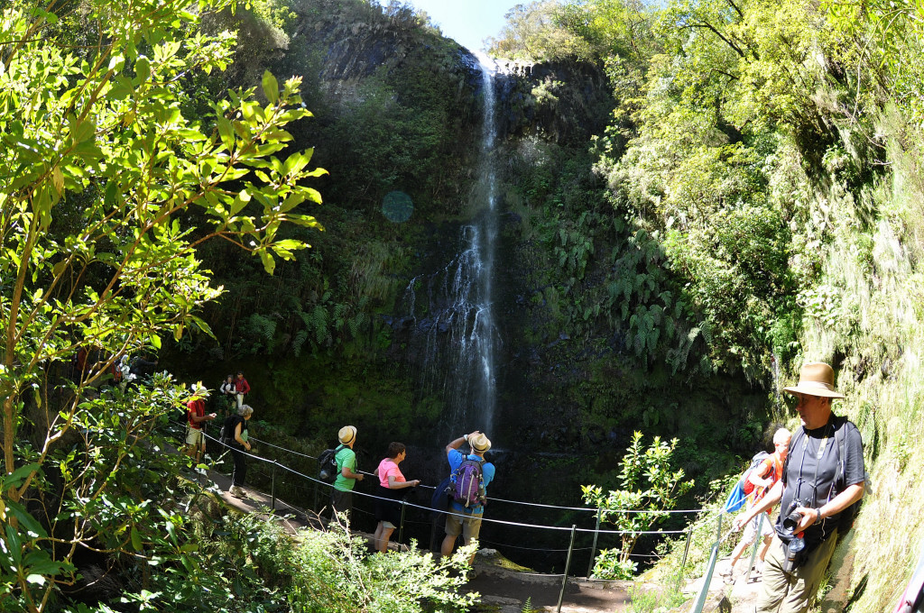 Small waterfall on Calderao Verde trail 