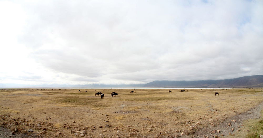 40720_108_Ngorongoro-Crater-floor.JPG