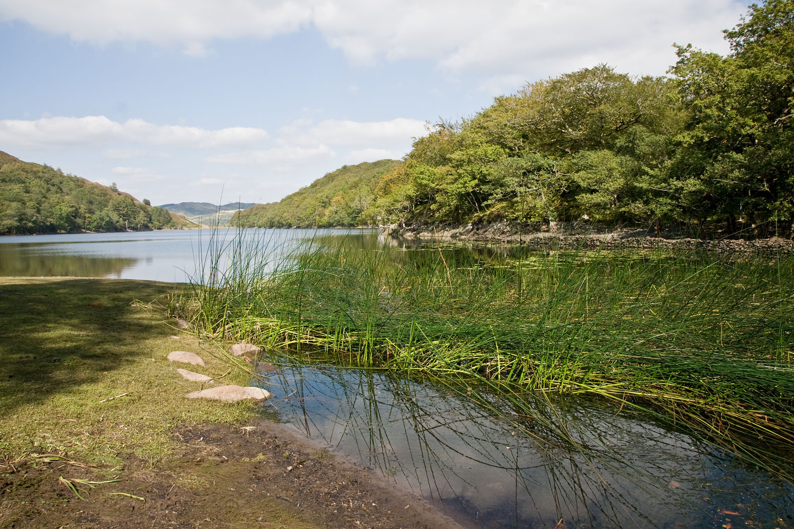 Llyn Cynwch