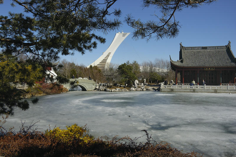 Jardin de chine