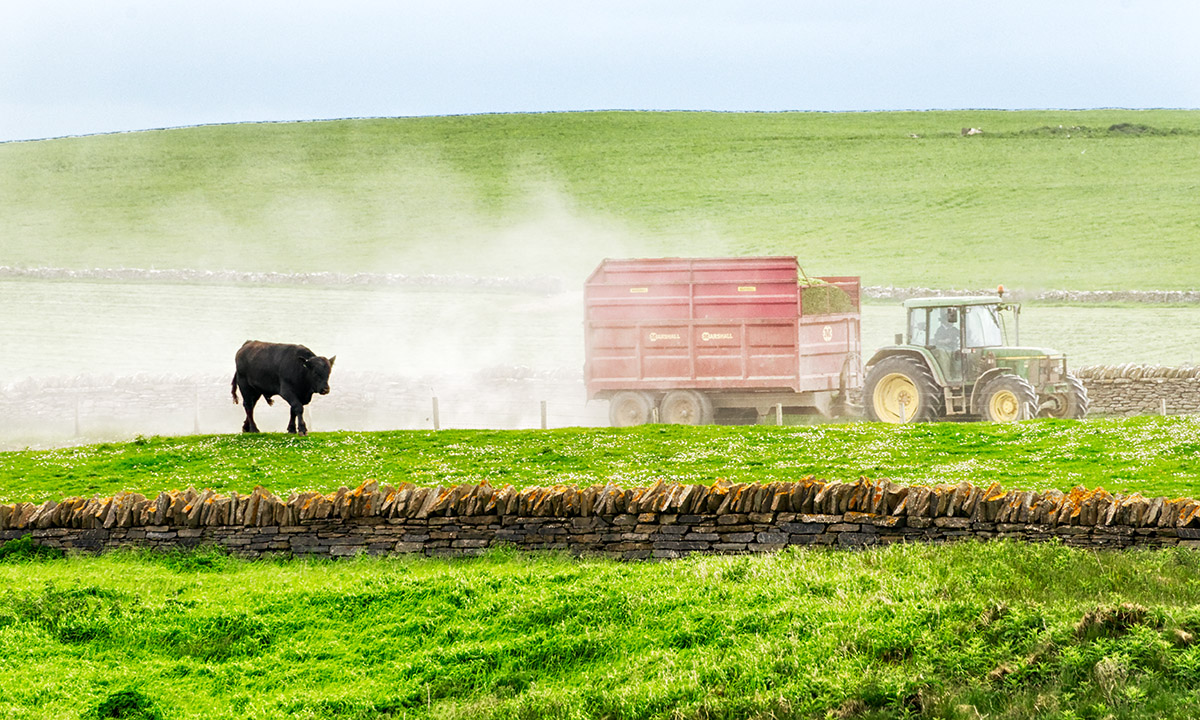 Silage Making