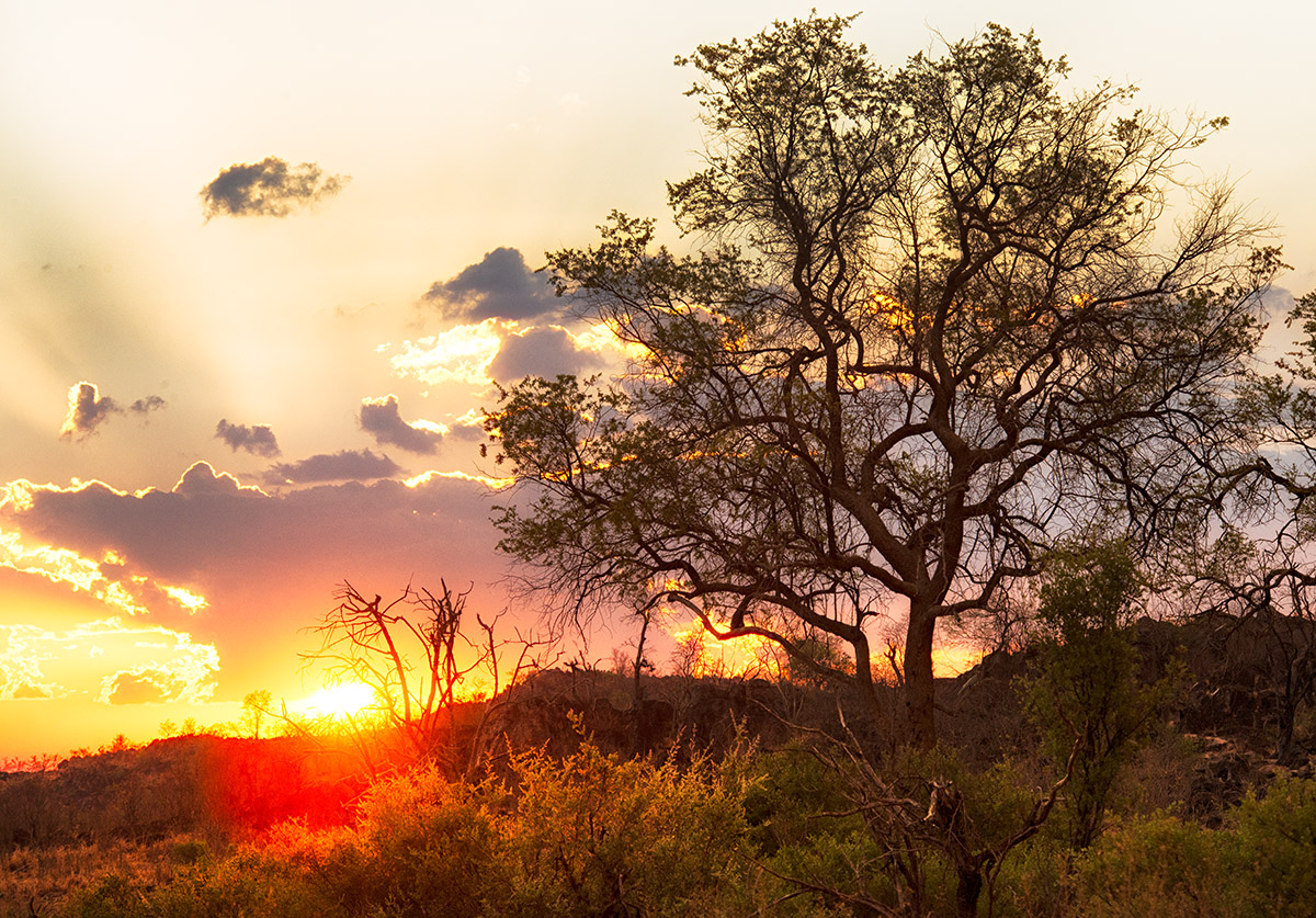 Savute Sunset