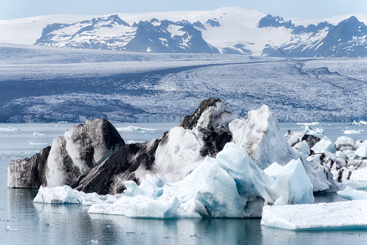 Muddy Icebergs