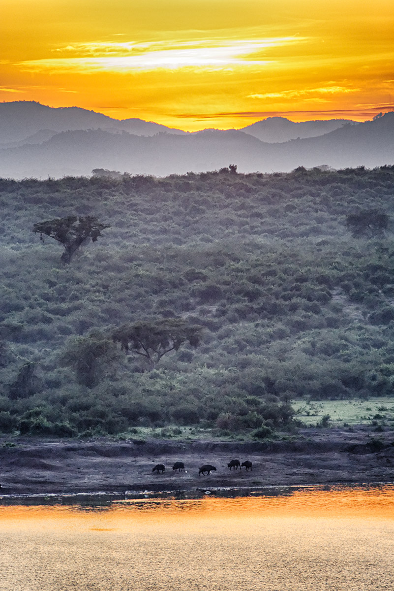 Kazinga Channel Dawn