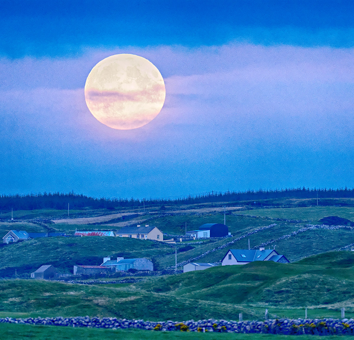 Harvest Moon