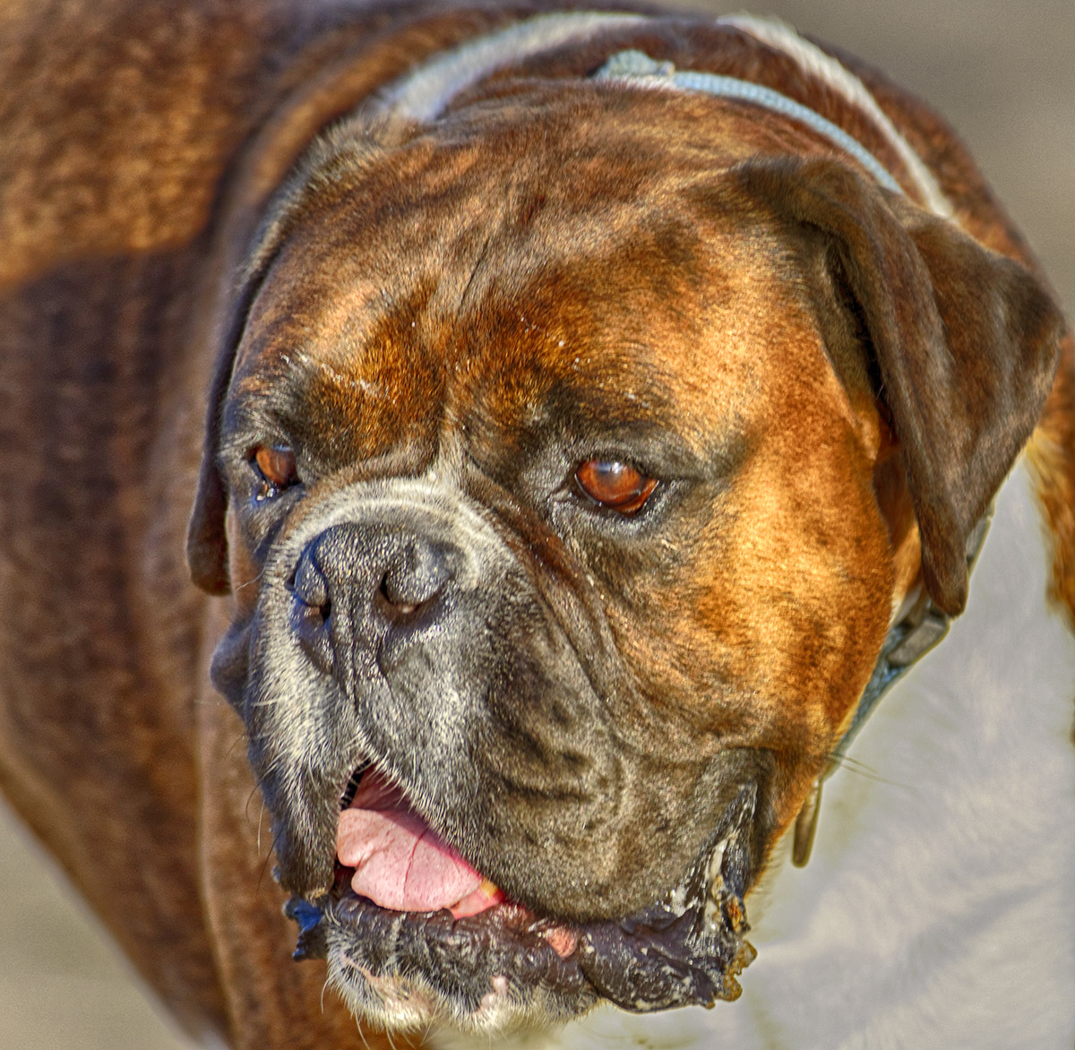 A face that only a mother could love!