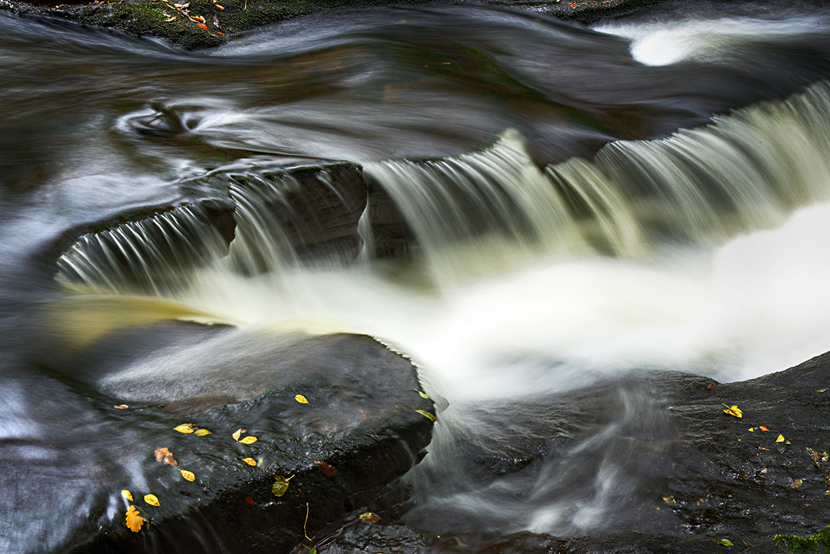 Autumnal Clare River