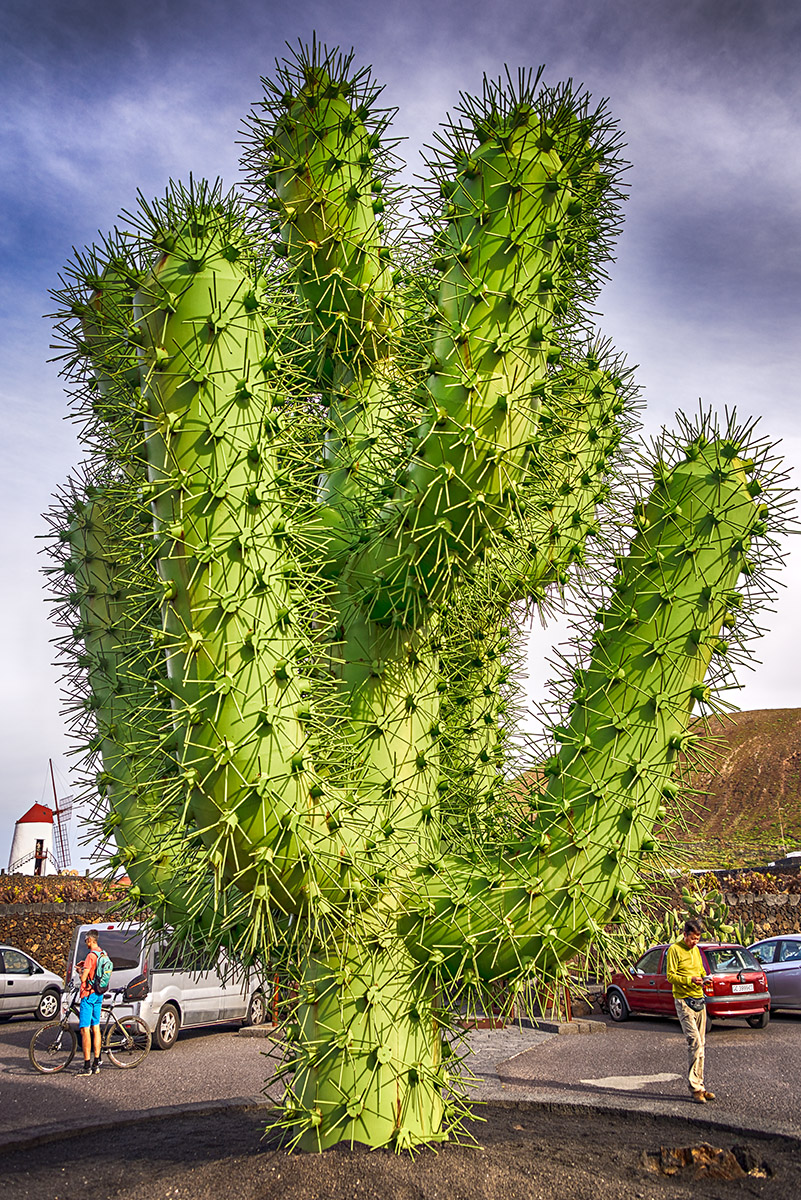Steel Cactus -  Csar Manrique