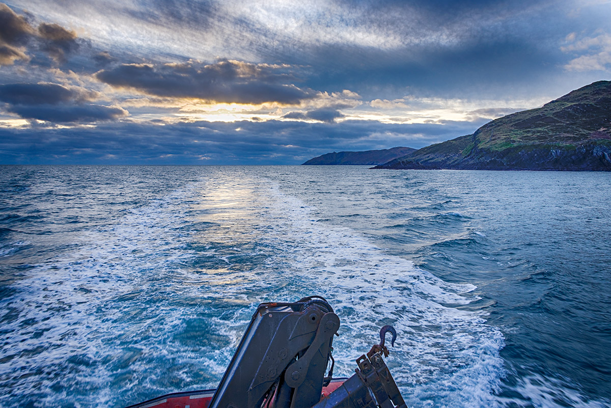 Homeward Bound