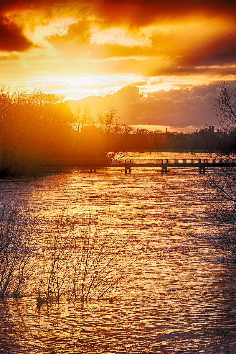 Shannon River in Flood