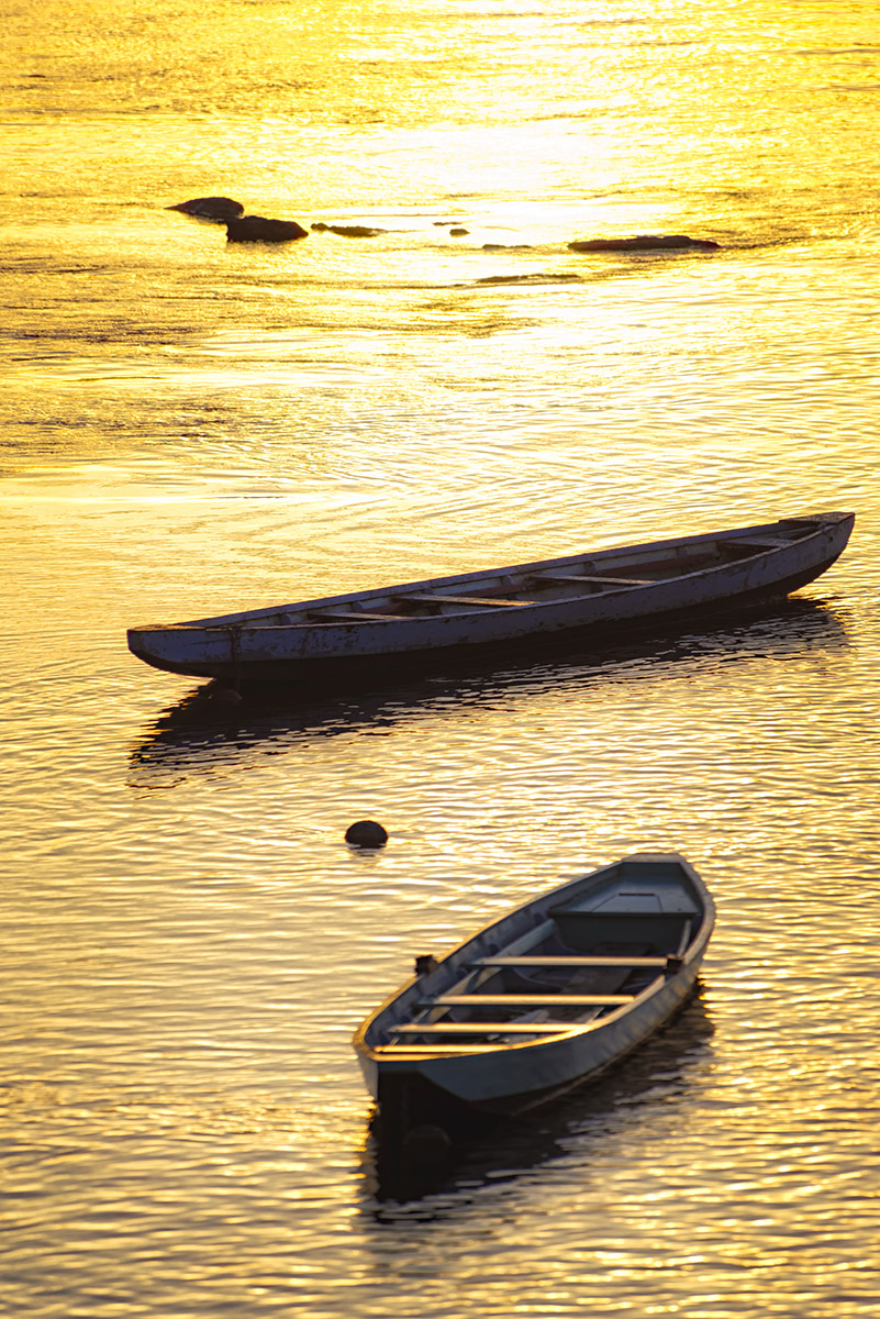 Angling Cots at Rest